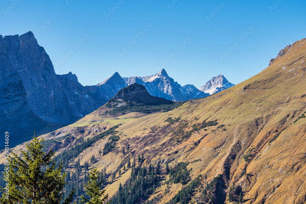 Fototapeta premium Maple trees at Ahornboden, Karwendel mountains, Tyrol, Austria