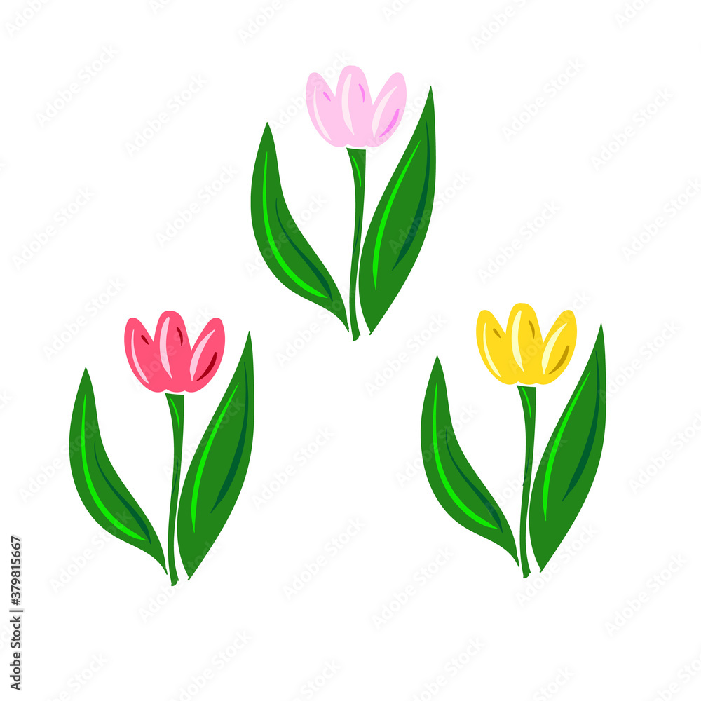 Set of 3 tulips, flat, vector, hand drawn. Use for postcards. napkins. fabrics, packaging, web design, advertising, banners.
