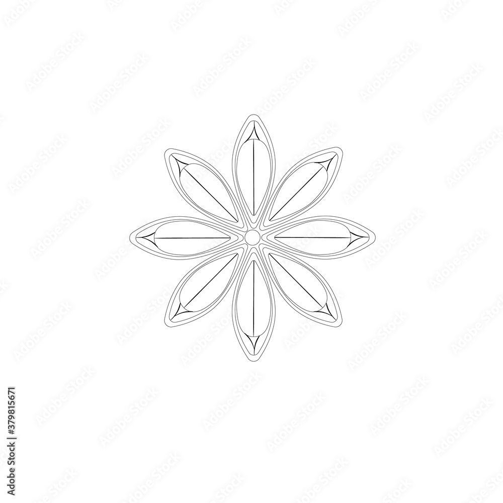 Contour vector image of anise. Sketch. Use for coloring pages, web design, packaging, advertising.
