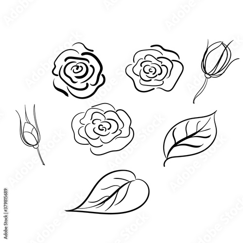 Set of rose buds and petals. Vector, contour, sketch, freehand drawing. Use for coloring pages, packaging, banners, web design, advertising.
