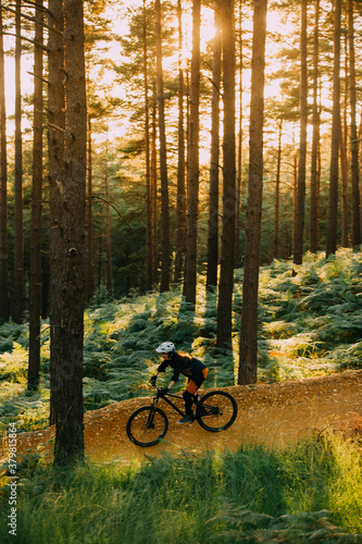 A woman cycling down a sandy forest path at sunset photo