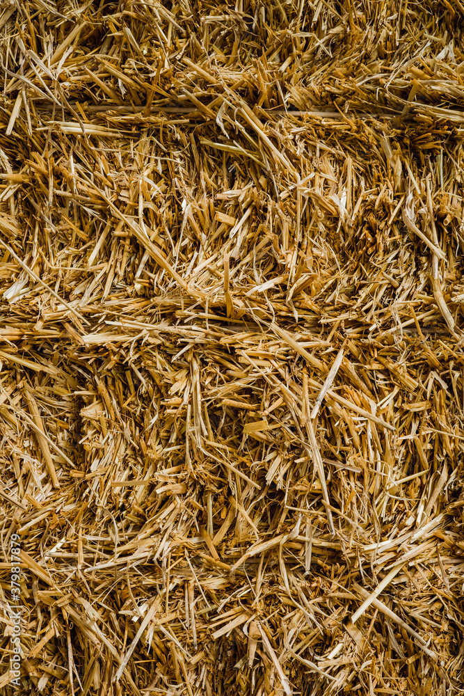 Detail of a straw bale. Norfolk, UK. Detail of a straw bale. Norfolk, UK.