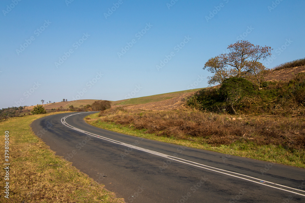Asphalt Rural Road Running Through Green Vegetation in South Africa