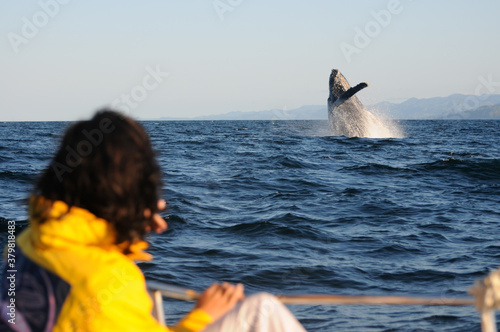 Epic view of a humpback whale breaching outside the water during a whale watching with tourists, surrounded by an agitated blue sea and a beautiful sky, in Sainte-Marie, Madagascar 