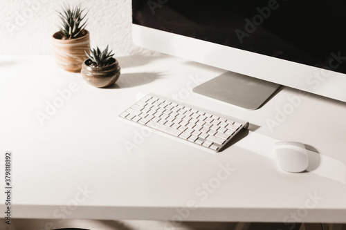 desktop computer in bright modern workspace with succulent plants photo