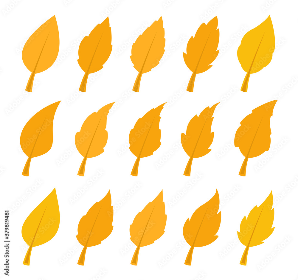 Autumn leaves set