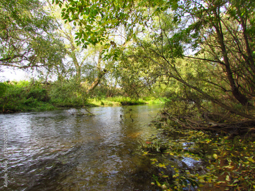 Fototapeta premium landscape with a small river and trees with foliage in an autumn day. Sun rays and water reflection. 