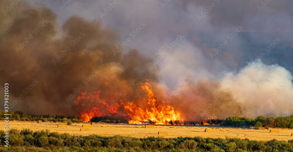 Fototapeta premium Spectacular long shot of firefighters in the first line