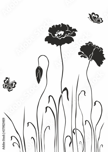 Beautiful large flowers and fluttering butterflies., vector drawing of flowers and butterflies
