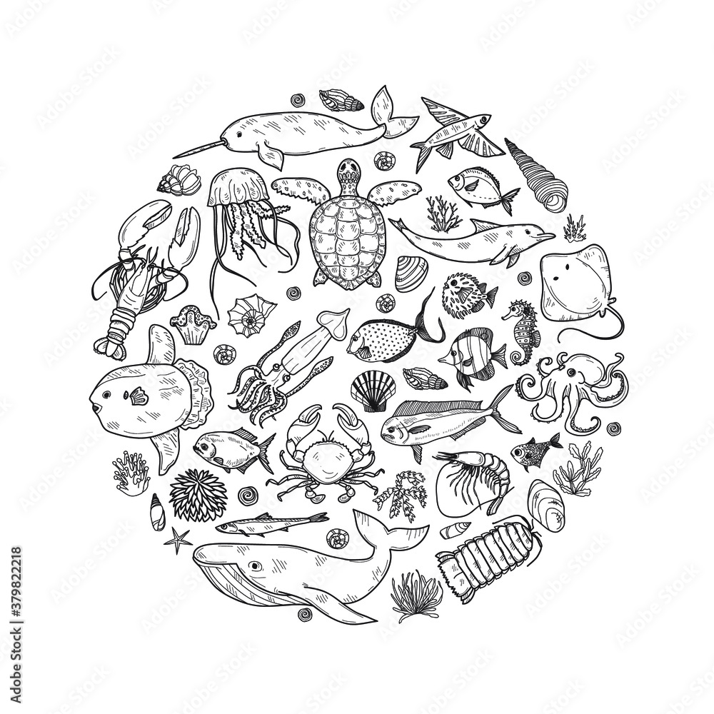 Round composition with cute hand drawn marine animals, fish and shells. Vector. May use as coloring page. Round composition with cute hand drawn marine animals, fish and shells. Vector. May use as coloring page.