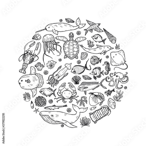 Round composition with cute hand drawn marine animals, fish and shells. Vector.  May use as coloring page. 