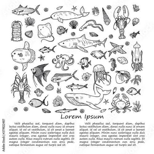 Illustration with cute hand drawn marine animals, fish and shells. Vector outline background. May use as coloring page. 