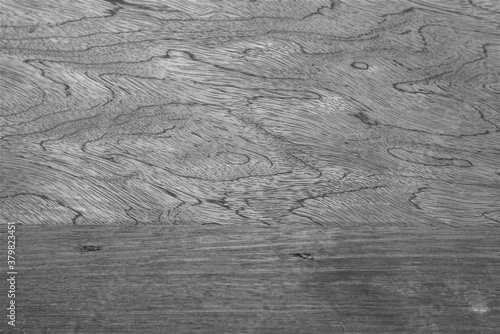 Wood Panel Wall Baseboard