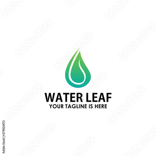 water leaf logo design vector template, nature elements logotype © Artfandi