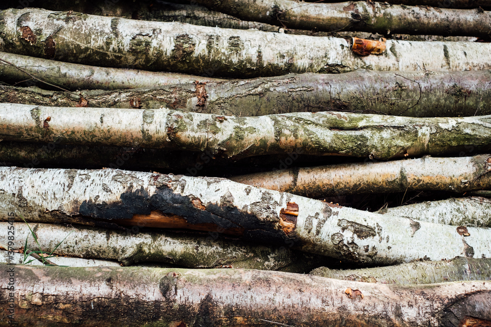 Pile of wood Pile of wood