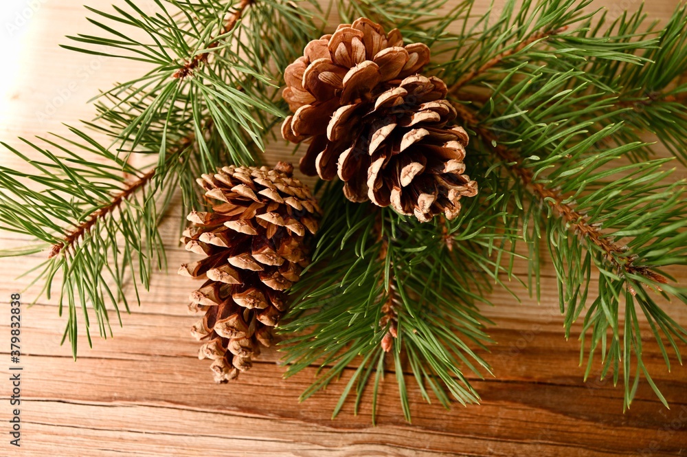 Branches of a Christmas tree with cones on a wooden background. Branches of a Christmas tree with cones on a wooden background.