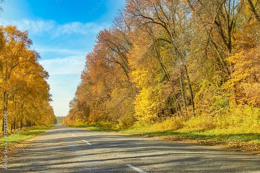 beautiful autumn road for travel