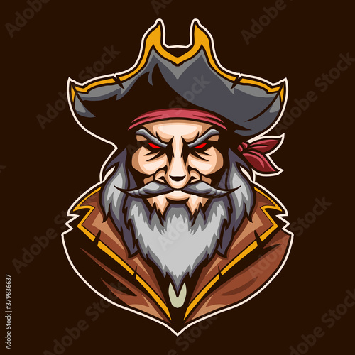 pirates vector illustration design