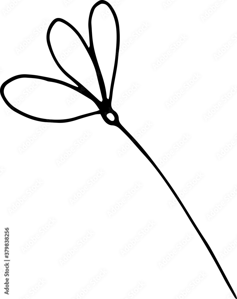 Single floral element hand drawn in vector. Simple doodle illustration for print, greeting card, stickers, wedding design, packaging, natural cosmetic line or poster. Natural icon isolated on white Single floral element hand drawn in vector. Simple doodle illustration for print, greeting card, stickers, wedding design, packaging, natural cosmetic line or poster. Natural icon isolated on white