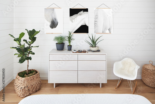 Whitewash wood dresser with plants and jewelry holder on top of dresser photo