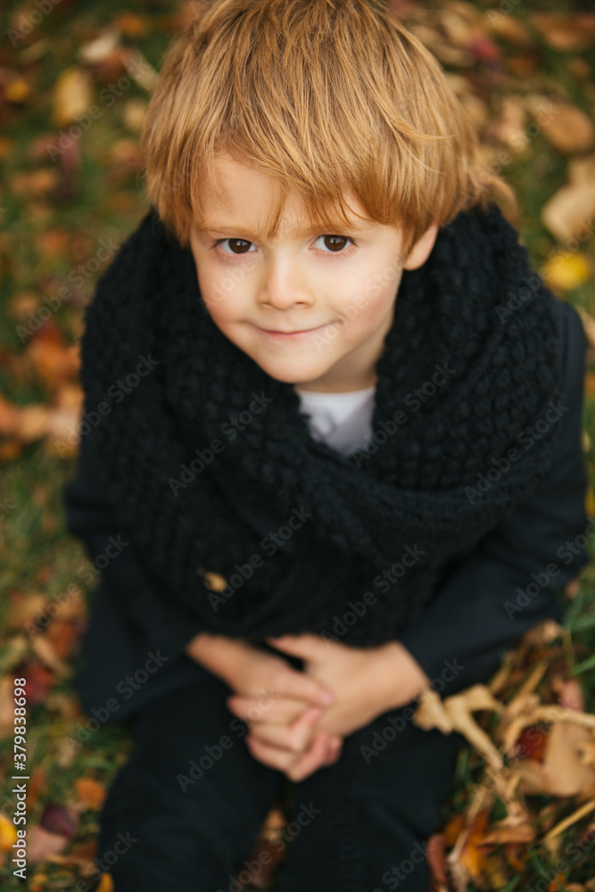 A portrait of a young boy sitting on leaf covered grass looking up A portrait of a young boy sitting on leaf covered grass looking up