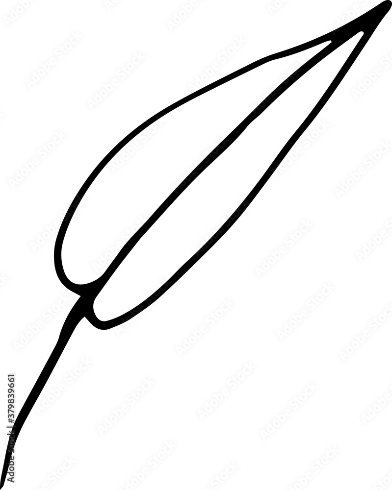Single element of cute simple leaf in floral doodle set. Hand drawn vector illustration for greeting cards, posters, prints, stickers or seasonal design. Isolated nature icon on white in ink style Single element of cute simple leaf in floral doodle set. Hand drawn vector illustration for greeting cards, posters, prints, stickers or seasonal design. Isolated nature icon on white in ink style
