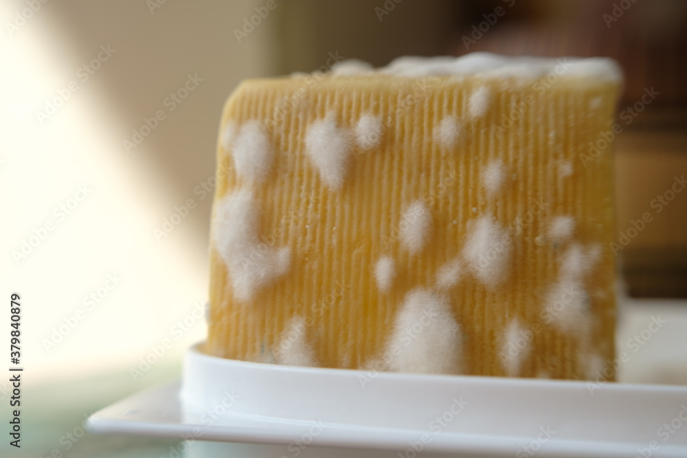 moldy cheese. cheese with mold mushrooms. bad cheese. unhealthy food