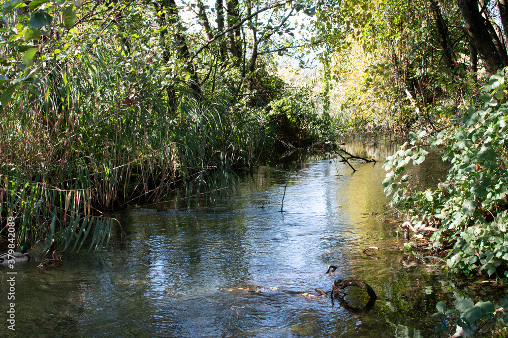 Obraz premium Lake