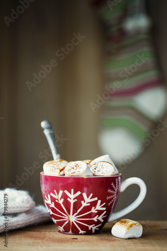 Hot chocolate with toasted marshmallows photo