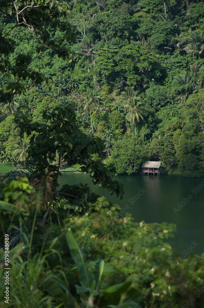 Jungle Lake Jungle Lake