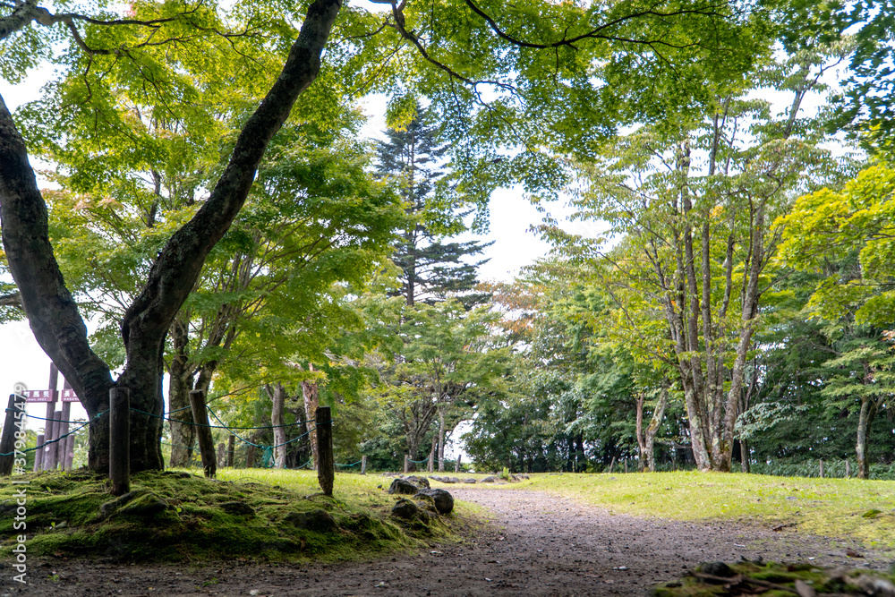 Fototapeta premium 山の見晴台