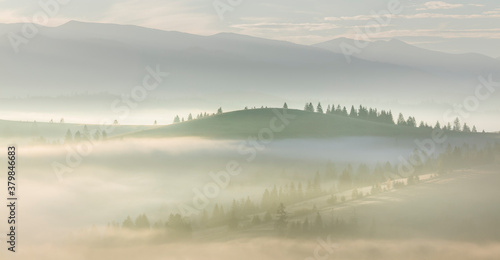 Morning Foggy misty landscape with forest and trees in mountains valley © Taiga