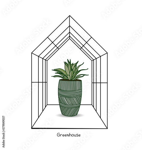 Greenhouse illustration on white background. flower house. Winter Garden. Gardening and truck farming concept. Exotic houseplant