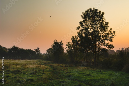 Wallpaper Mural Sunrise over a grassy field in North East Lincolnshire Torontodigital.ca