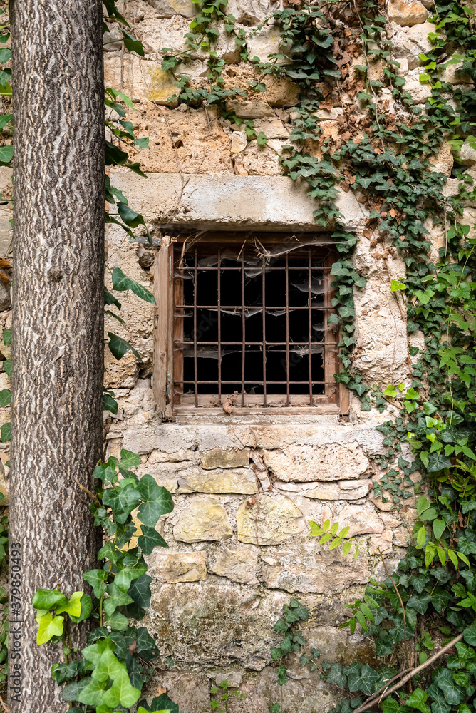 The wall of an abandoned building overgrown with plants and a window with bars and cobwebs The wall of an abandoned building overgrown with plants and a window with bars and cobwebs