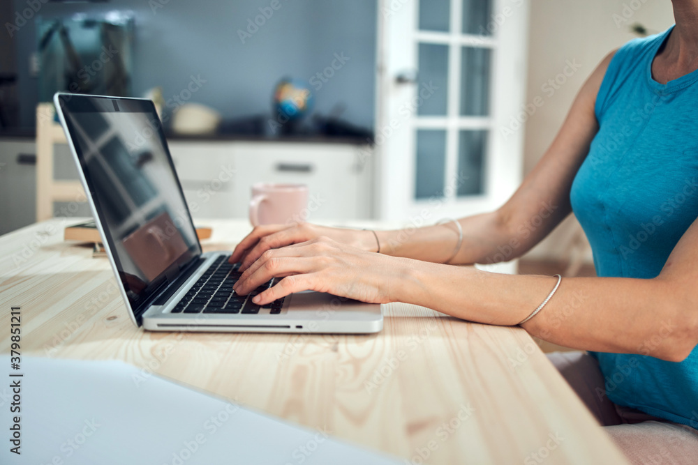 Fototapeta premium Woman working from home, using laptop / notebook, modern freelance concept.