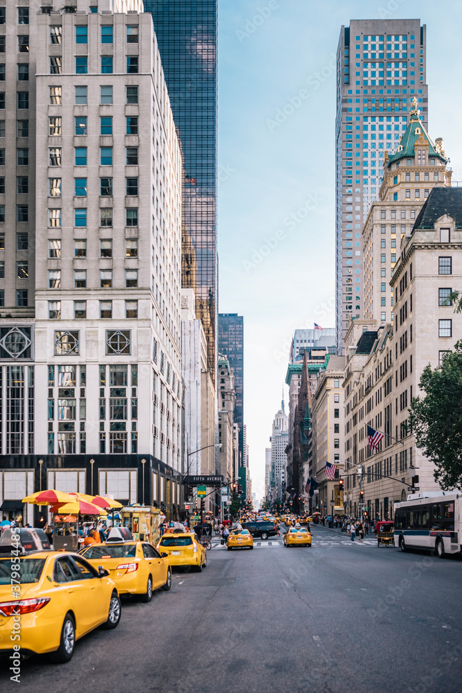 New York City's 5th Ave. Main Shopping Street New York City's 5th Ave. Main Shopping Street