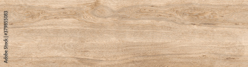 Wood texture background.Natural wood pattern. texture of wood