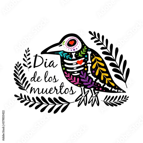 Vector colorful postcard. Dia de los Muertos, Day of the dead or Halloween concept. Raven skeleton with floral design, isolated on white background