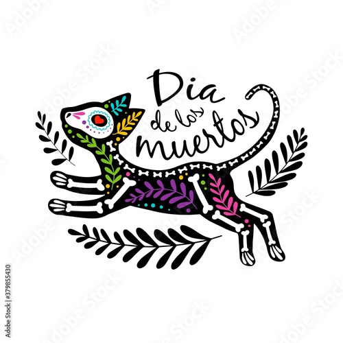 Vector colorful postcard. Dia de los Muertos, Day of the dead or Halloween concept. Cat skeleton with floral design, isolated on white background