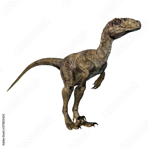 3D Rendering Dinosaur Deinonychus on White