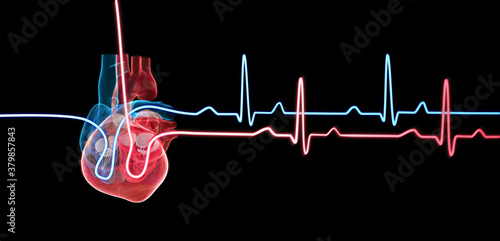 Konstfotografi Heart anatomy with a heartbeat graph, electrocardiogram, background graphic
