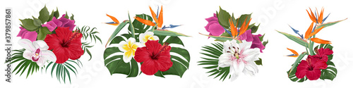 A set of bouquets of tropical flowers. Strelitzia, frangipani, hibiscus, lilies, orchids, palm leaves and monstera. Flowers on a white background.