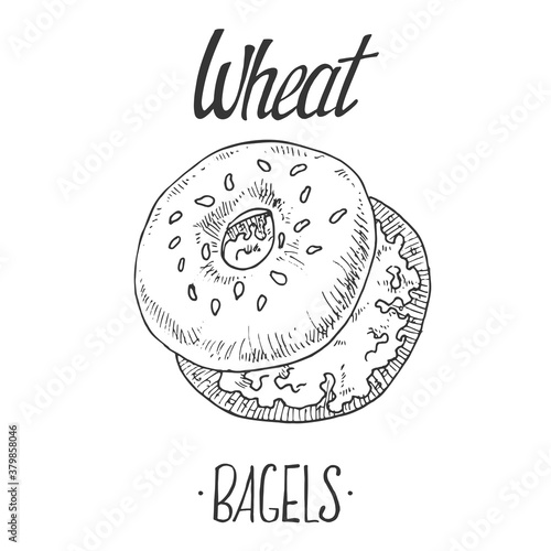 Hand drawn vector illustration of bagel with cream cheese and lettering