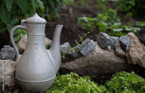 The jug is surrounded by stones and succulents in the garden.