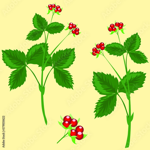 Berries and stone bramble berries on a branch with leaves on a yellow background, tasty, edible berries