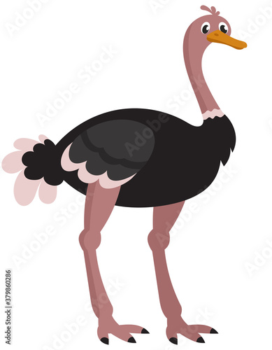 Standing ostrich three quarter view. African animal in cartoon style.