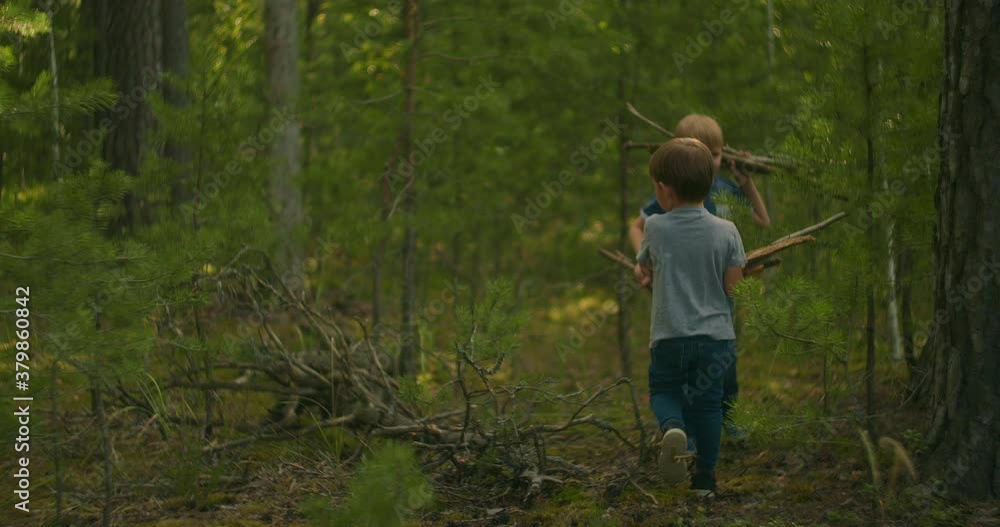 Two boys in the woods collect sticks for the fire. 3-6 years of man collect firewood for a fire in the forest Two boys in the woods collect sticks for the fire. 3-6 years of man collect firewood for a fire in the forest