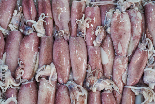 Fresh squid at a seafood market photo