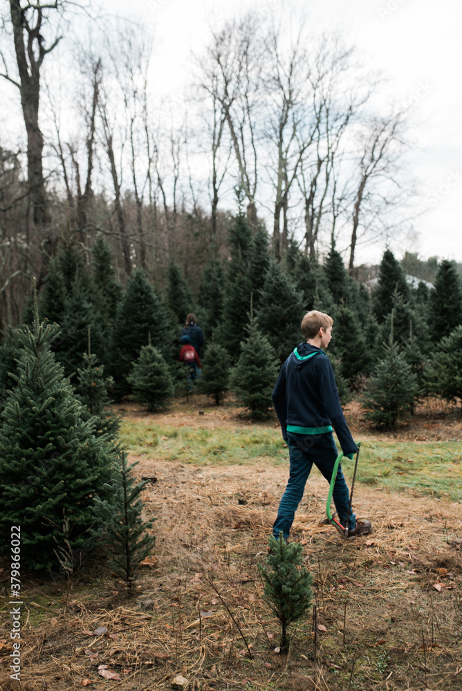 teen looking for a Christmas tree teen looking for a Christmas tree